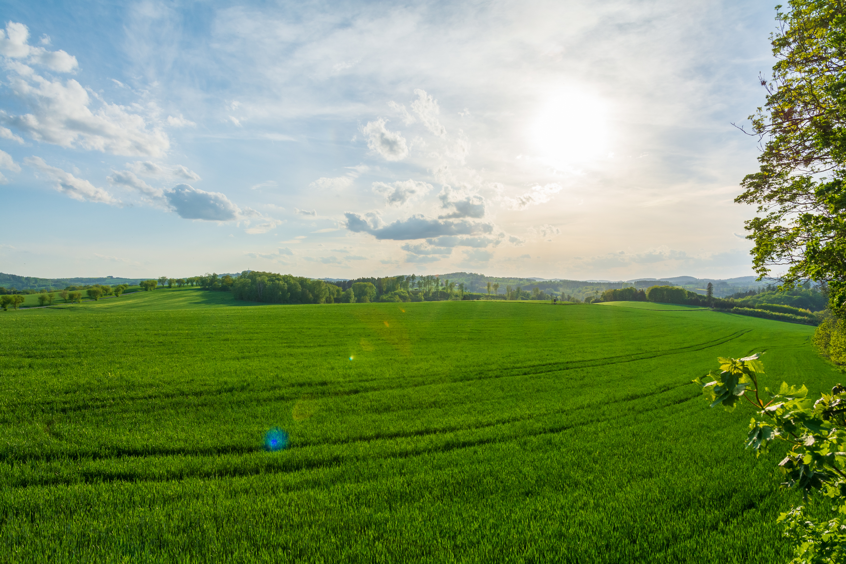 Foto makléře